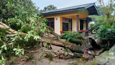 Cuaca Ekstrem Landa Tarakan, 36 Titik Terdampak Banjir dan Pohon Tumbang